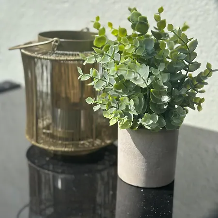 Mit Bergblick Titlis, Luzern, Pilatus, *