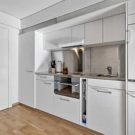 Mit Bergblick Titlis, Luzern, Pilatus, アパート エンゲルベルク