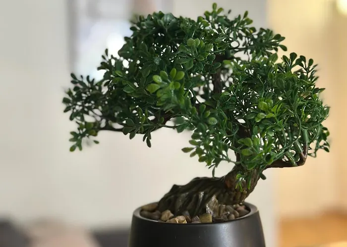 Mit Bergblick Titlis, Luzern, Pilatus, *