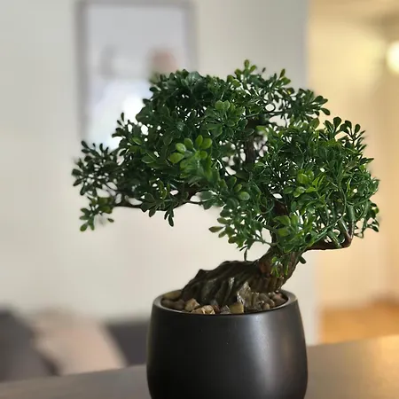 Mit Bergblick Titlis, Luzern, Pilatus, *